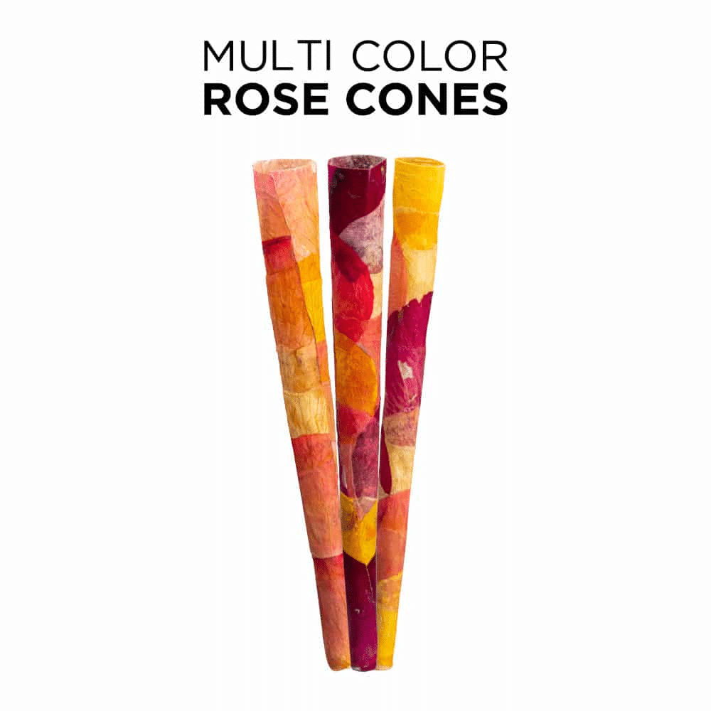 ROSE PALM KING SIZE HAND MADE MULTIPACK ROSE 3PK CONES