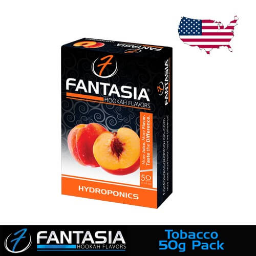 Fantasia 50G Carton Shisha Tobacco